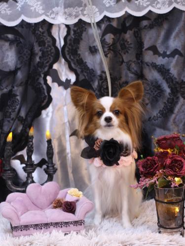 20231022ぎゅうちゃん